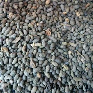 五灵脂 正品五灵脂 统 产地 陕西省商洛市丹凤县图3