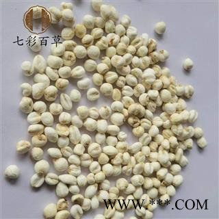 伊贝母 平贝母0.6 贝母小珍珠小平贝 产地 吉林省图4