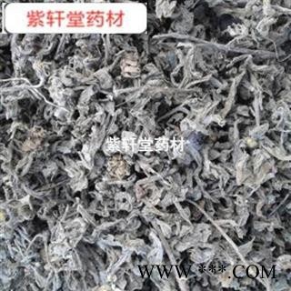 小蓟 野生小蓟 产地直销 过筛无杂质 产地 山东省图2