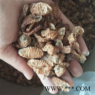 京辉药业 蛴螬 老母虫 土蚕 实物拍摄  无美颜图2