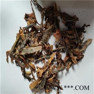 壁虎 统 产地 吉林省四平市图2