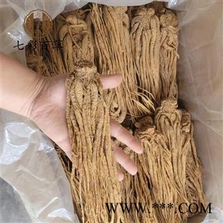 当归 选货水洗当归个 全归个 产地 甘肃省图2