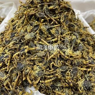 【山西清水全虫全蝎】【润泽中药】中药材批发供应 规格齐全 量大从优图2