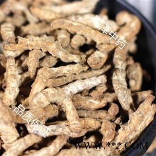 【麸炒正品僵蚕无杂质】【润泽中药】中药材批发供应 规格齐全 量大从优图2