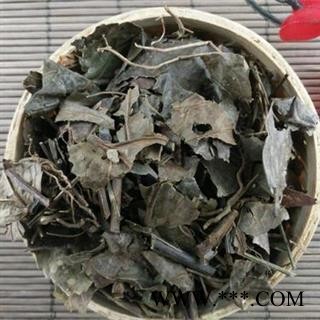 腹水草 正品保证质量7天无理由退货退款图2