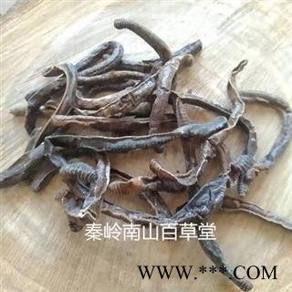 【新货】中药材秦岭全地龙干 蚯蚓干 日晒无硫500g图4