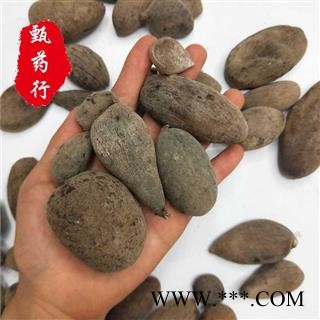 五倍子 好统货 一手货源批发 产地四川 甄选药材行 为你真选好药材图3