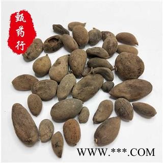 五倍子 好统货 一手货源批发 产地四川 甄选药材行 为你真选好药材图2