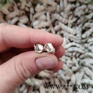 广西壮乡中草药 好统货 僵蚕 僵虫 天虫 产地 广西柳州图4