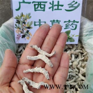 广西壮乡中草药 好统货 僵蚕 僵虫 天虫 产地 广西柳州图3