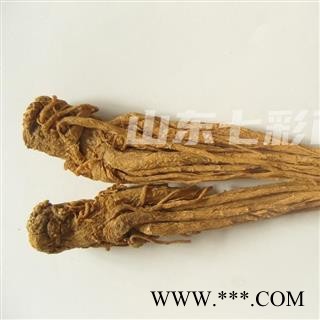 当归 当归个 水洗货 原生态 高含量 产地 甘肃省图2