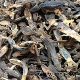 京辉药业 壁虎 统货 批发零售图2