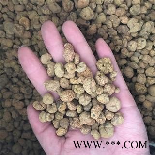 延胡索 元胡统货 元胡个 不掺假 颗粒均匀 过筛去沫图2