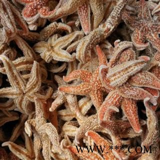 海星 海星统货 产地 海南省图4