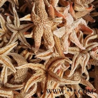 海星 海星统货 产地 海南省图2