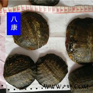 鳖甲 生趴01个 统图2