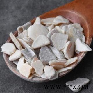 珠母500g包邮 真珠母 明珠母 手工分拣 干净图3