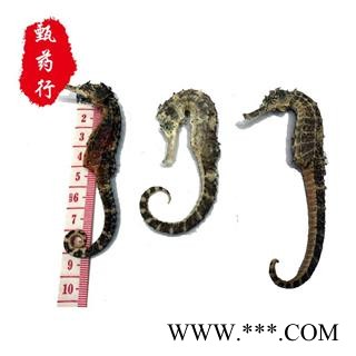 海马 中条 产地广东图4