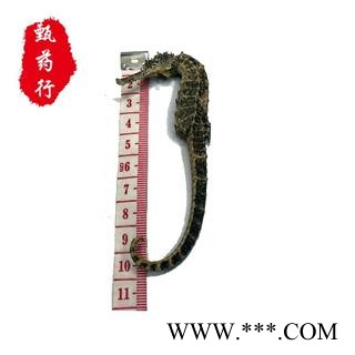 海马 中条 产地广东图3