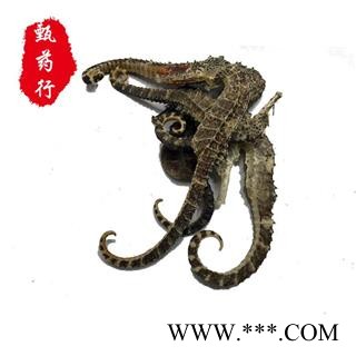 海马 中条 产地广东图2