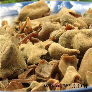 五倍子 统货 产地重庆市巫山县图3