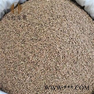 柴胡 柴胡统货过2个筛 大小均匀 产地 甘肃省图2