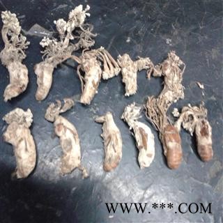 野生金禅花  产地四川   库存500可售图2