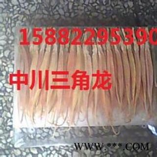 中川三角龙大统货直销  产地进口印尼  库存500可售图2