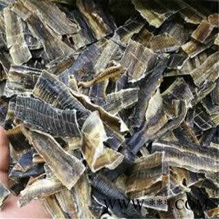 地龙 统货 产地 海南省省直辖县级行政区划儋州市图2