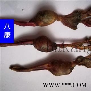 狗鞭 18厘米左右 产地 内蒙古自治区鄂尔多斯市图3