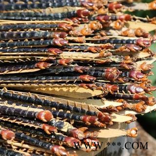 中药材蜈蚣干 千足虫 山无硫晒干图4