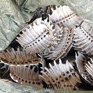 鳖甲 生鳖甲 统货 产地 湖北省 买好药找娟子图2