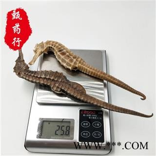 海马 全清水海马王特大 一手货源批发 产地广东 甄选药材行 为你真选好药材图4