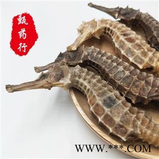 海马 全清水海马王特大 一手货源批发 产地广东 甄选药材行 为你真选好药材图2