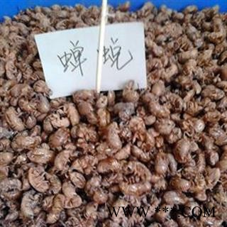 灵吉药业 蝉蜕  蝉壳  禅皮  蝉衣  道地药材 货真价实   批发各类规格中药材，滋补品 规格齐全 品质保证图3