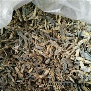 京辉药业 壁虎 进口图3