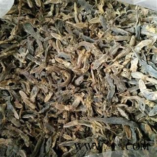 京辉药业 壁虎 进口图2