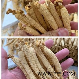人参  生晒参 白须参60支  足干 产地 吉林省图3