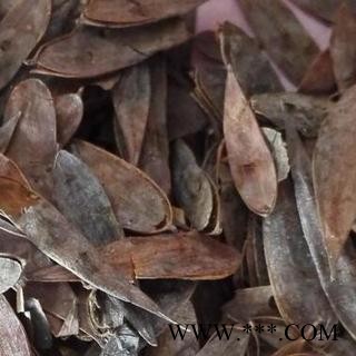 博落回子 正品保证质量7天无理由退货退款 中药材批发 丽丽药业图2