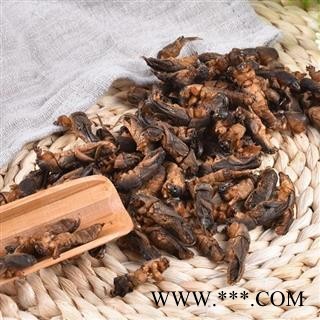 蝼蛄  耕狗土狗子 秦岭特产250g图2