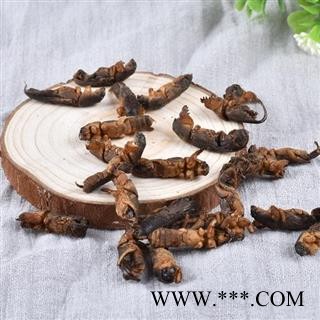 蝼蛄  耕狗土狗子 秦岭特产250g图3