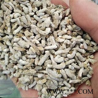 白丁香 白丁香雀苏，雄雀矢，青丹，麻雀粪，雄家雀粪 产地 安徽省 买好药找娟子图3