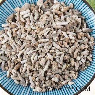 白丁香 白丁香雀苏，雄雀矢，青丹，麻雀粪，雄家雀粪 产地 安徽省 买好药找娟子图4