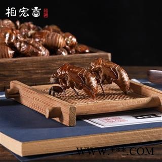 蝉蜕 水洗蝉蜕净货 产地 四川省图3