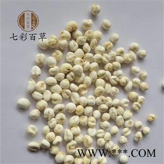 伊贝母 平贝母0.7贝母 小贝母 产地 吉林省图3