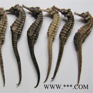 灵吉药业   海马  批发各种规格中药材 花茶 矿石 冷背野生中药材图3