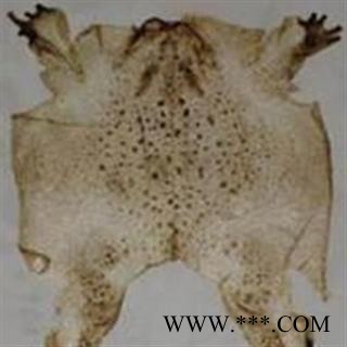 京辉药业中药材蟾衣 干蟾衣 完整蟾衣图2