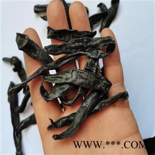 水蛭 B统 产地 江苏省常州市新北区图3