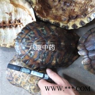 龟甲 巴西 龟壳 统图2