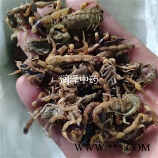 【山西淡盐全虫全蝎】【润泽中药】中药材批发供应 规格齐全 量大从优图2
